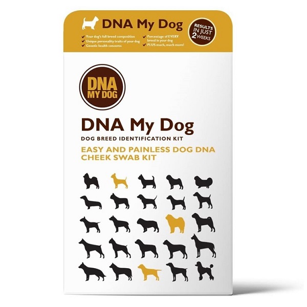 DNA My Dog Canine Breed Identification Test Kit