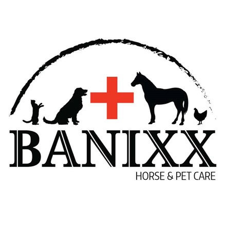 Banixx-Logo