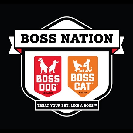 BOSS NATION DOG and CAT