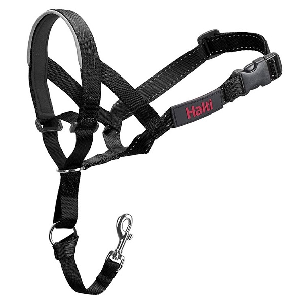 The Company of Animals Halti Headcollar For Dogs