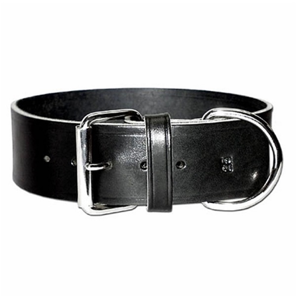 Wide Latigo Leather Dog Collar - 2"