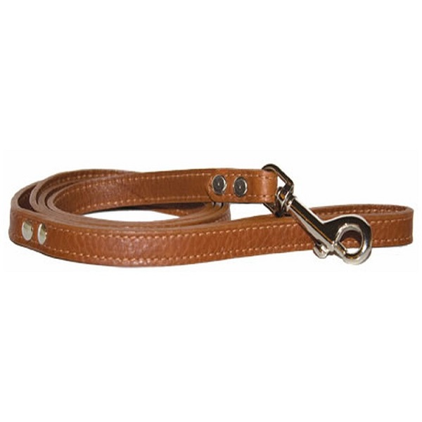 OmniPet Lux4 Leather 4' Lead - (3/4")