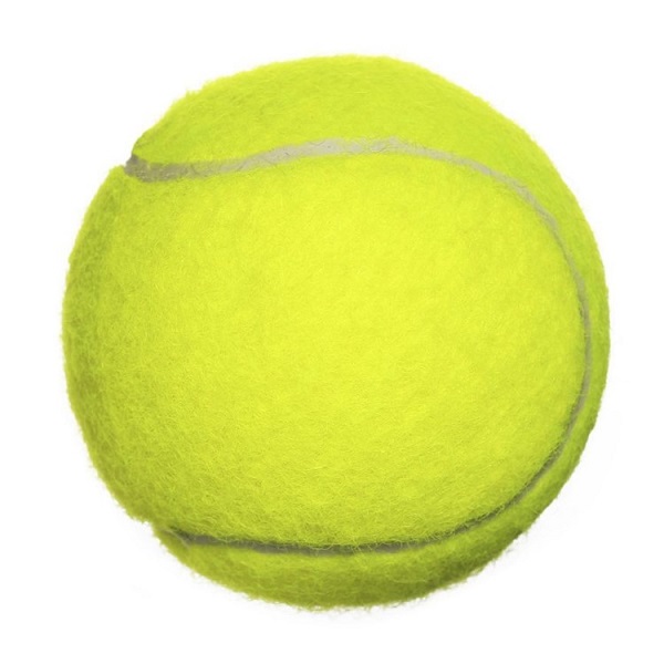 Petcrest Squeaker Tennis Ball Dog Toy - 2.5"