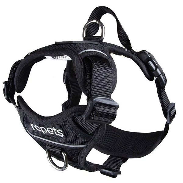 RC Pets Momentum Control Dog Harness