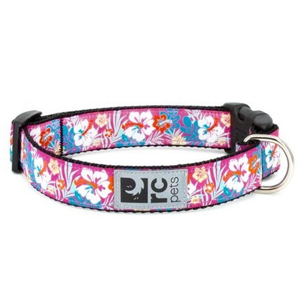 RC Pets Adjustable Clip Dog Collar 