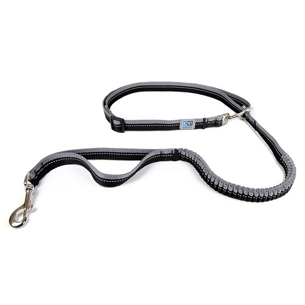 RC Pets Bungee Active Dog Leash