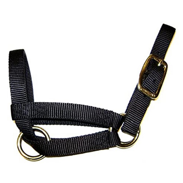 Hamilton 3/4" Nylon Goat Halter - Nanny (Black)