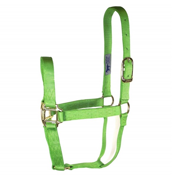 Hamilton Nylon Large Horse Halter - Lime (1100-1600lb)