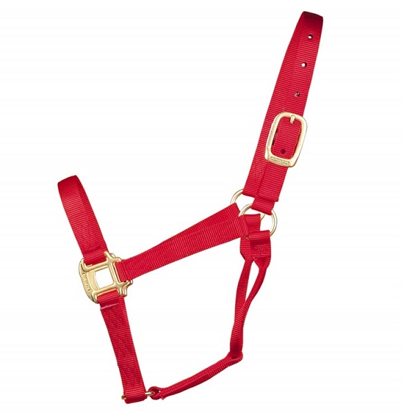 Hamilton Nylon Large Horse Halter - Red (1100-1600lb)