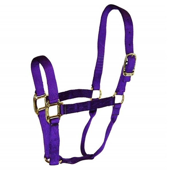 Hamilton Nylon Small Horse Halter - Purple (500-800lb)