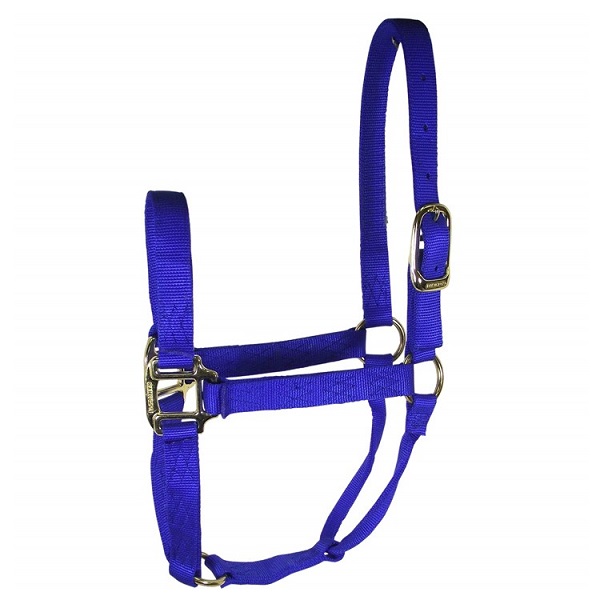 Hamilton Nylon Average Horse Halter - Blue (800-1100lb)