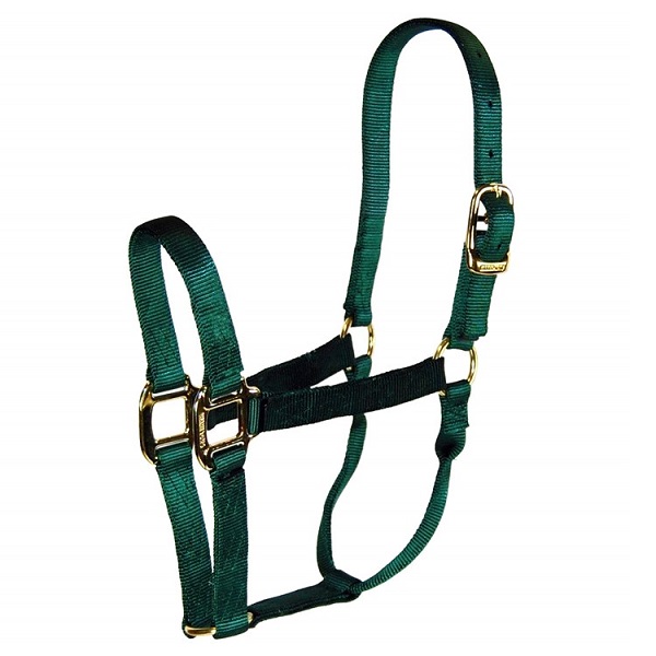 Hamilton Nylon Average Horse Halter - Dark Green (800-1100lb)