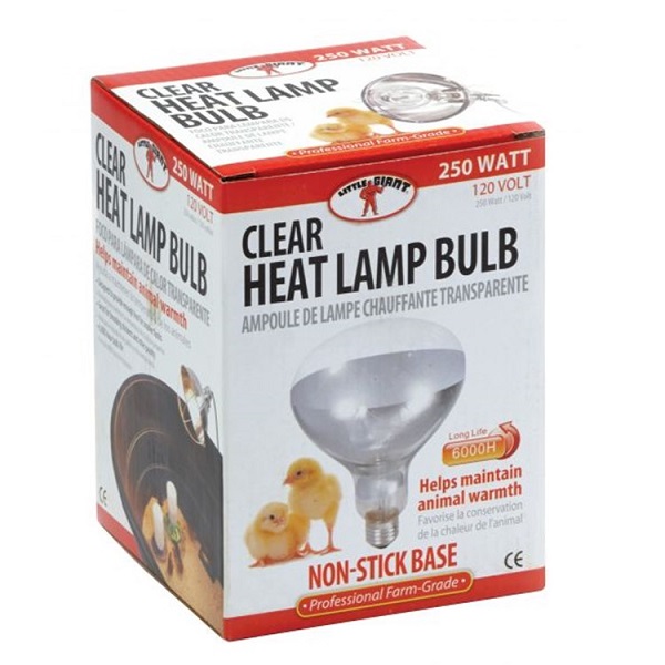 Miller MFG Little Giant Brooder Heat Lamp Bulb - Clear (250 Watts)