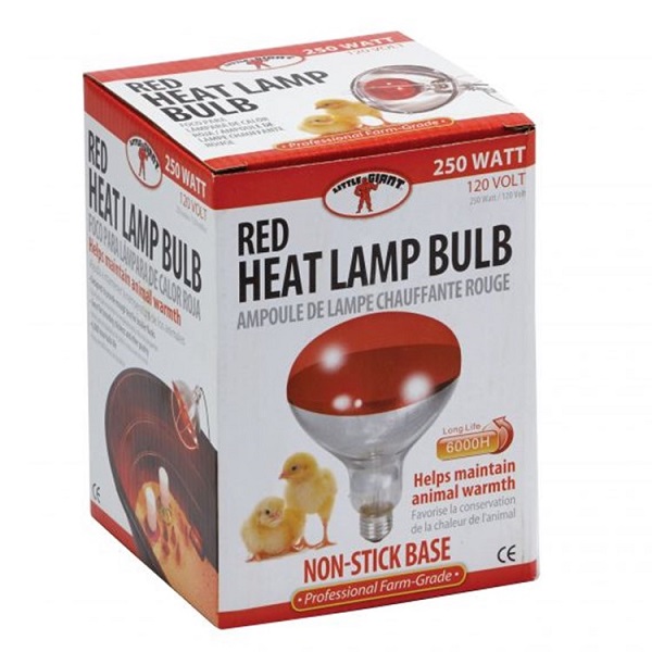 Miller MFG Little Giant Brooder Heat Lamp Bulb - Red (250 Watts)