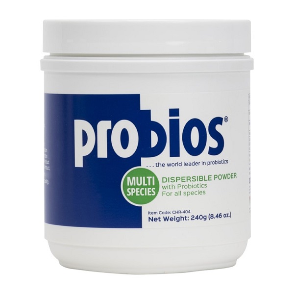 Probios Dispersible Powder Supplement - 240g