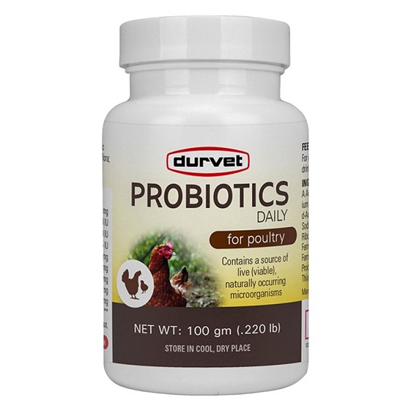 Durvet Probiotics Daily For Poultry - 100g