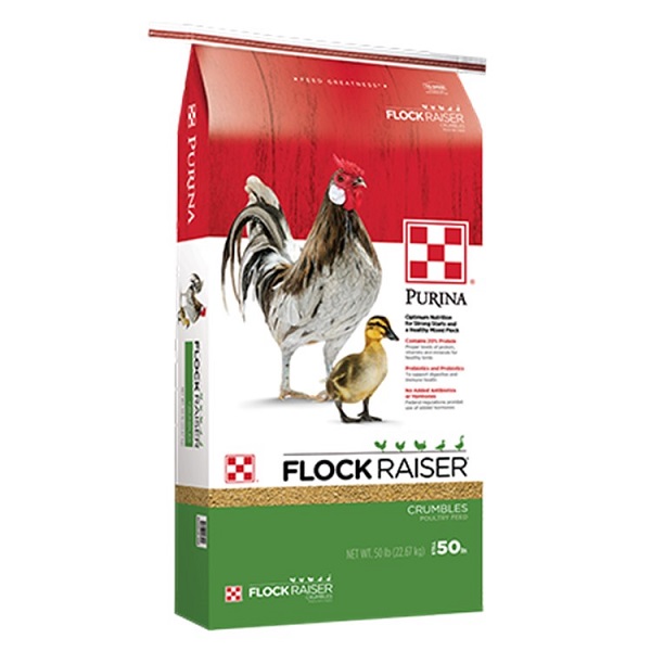 Purina Flock Raiser Crumbles Premium Poultry Feed - 50lb