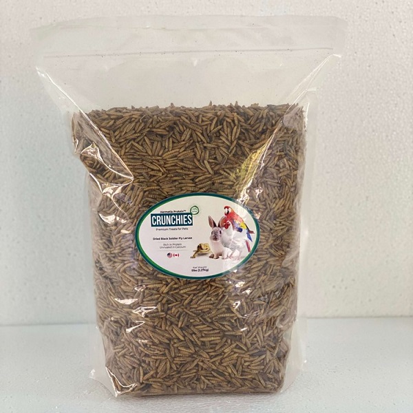 Hermetia Protein CRUNCHIES Fly Larvae