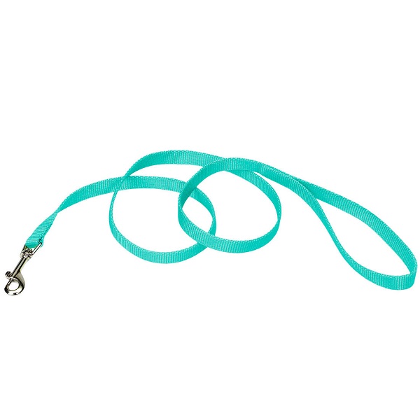 Coastal Pet Products 5/8" Single-Ply 6' Dog Leash - Teal