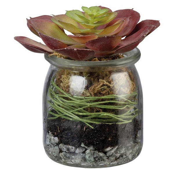 Primitives By Kathy Glass Jar Planter - Artificial Red Rosette Succulent