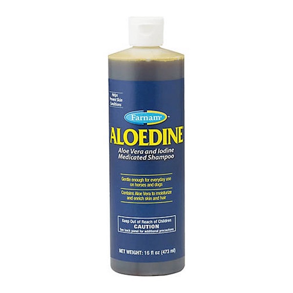 Farnam Aloedine Aloe Vera & Iodine Medicated Shampoo - 16oz