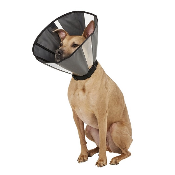 ZenPet ZenCone Soft Recovery Dog & Cat Collar