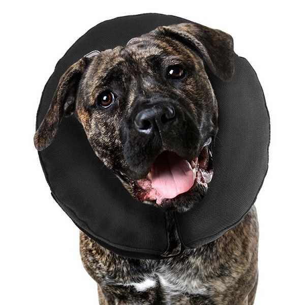 ZenPet ZenCollar Inflatable Recovery Dog & Cat Collar