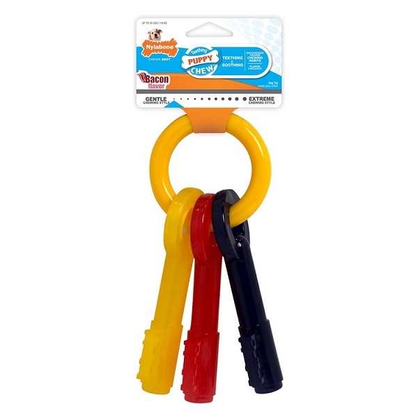 Nylabone Puppy Teething Keys Dog Chew Toy