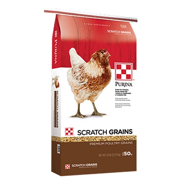 Purina Scratch Grains Poultry Supplemental Treat (50lb)