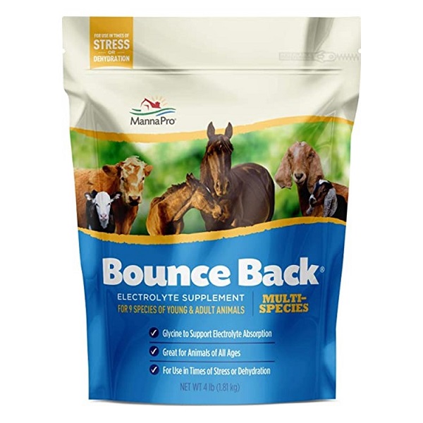 Manna Pro Bounce Back Multi-Species Electrolyte Supplement