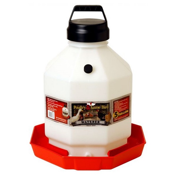 Miller MFG Plastic Poultry Fount Waterer - 5 Gallon