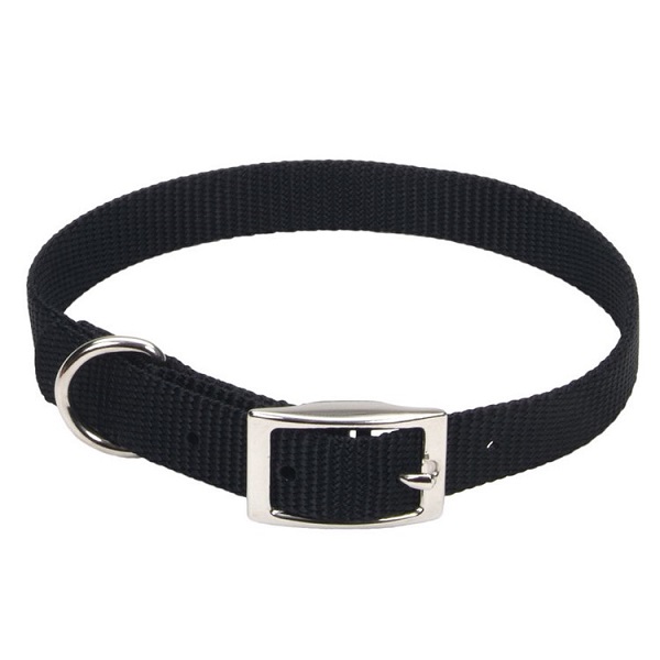 Coastal Pet Products Adjustable Single-Ply Dog Collar w/Metal Buckle