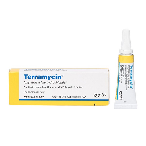 Zoetis Terramycin Ophthalmic Ointment for Dogs, Cats & Horses - 1/8oz