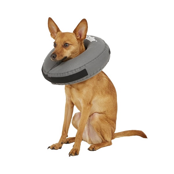 ZenPet ZenCollar Inflatable Recovery Dog & Cat Collar - Medium (10-13")