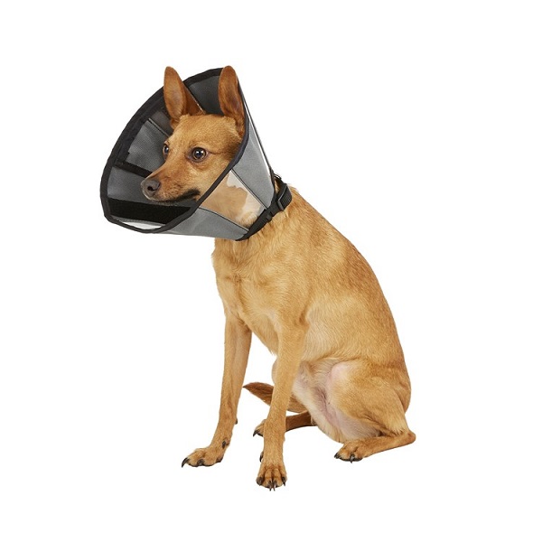 ZenPet ZenCone Soft Recovery Dog & Cat Collar - Small (8-12")