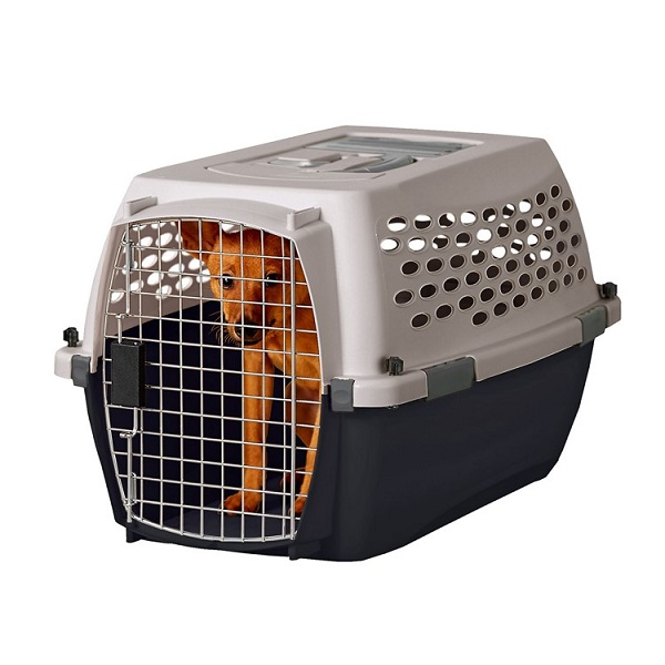 Petmate Vari Dog & Cat Kennel (15-20lb) - 24"