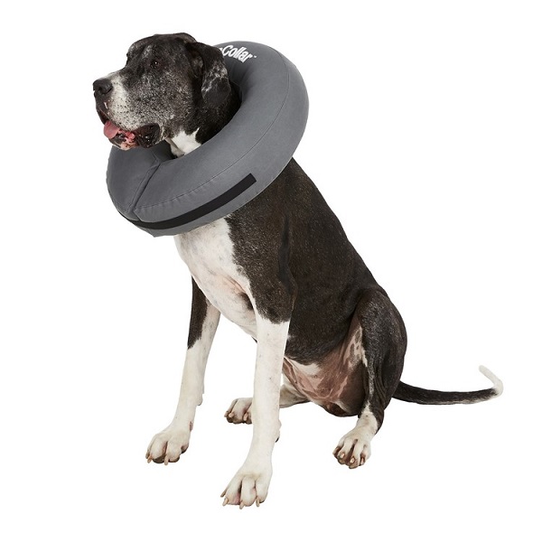 ZenPet ZenCollar Inflatable Recovery Dog & Cat Collar - XXL (22" & Up)