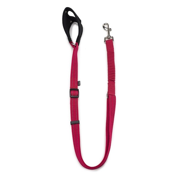 PetSafe Sport Nylon Bungee Reflective Dog Leash - Red (3/4")