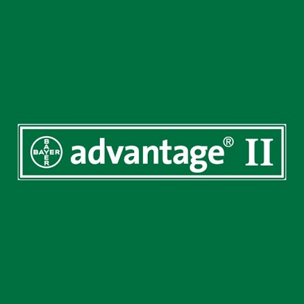 ADVANTAGE