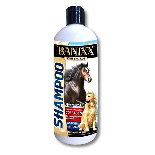 Banixx Anti-Fungal & Anti-Bacterial Medicated Horse Shampoo - 16oz