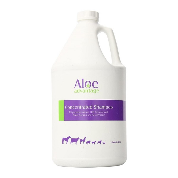 Durvet Aloe Advantage 10:1 Concentrated Animal Shampoo - 1 Gallon