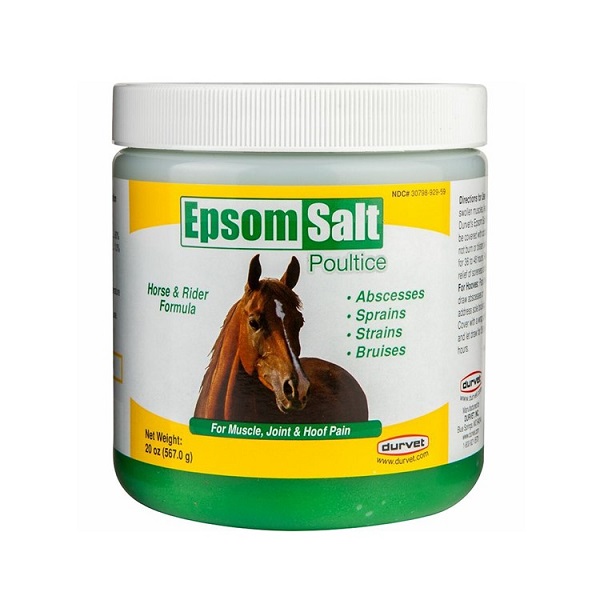 Durvet Horse & Rider Formula Epsom Salt Poultice Paste - 20oz