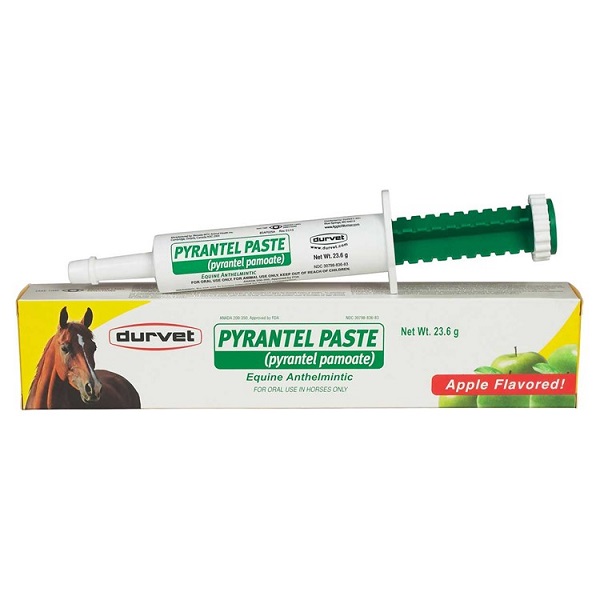 Durvet Pyrantel Paste Apple Flavor Horse Wormer