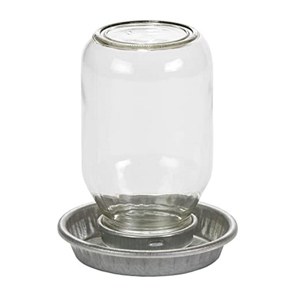 Miller MFG Little Giant Mason Jar Baby Chick Waterer - 1qt