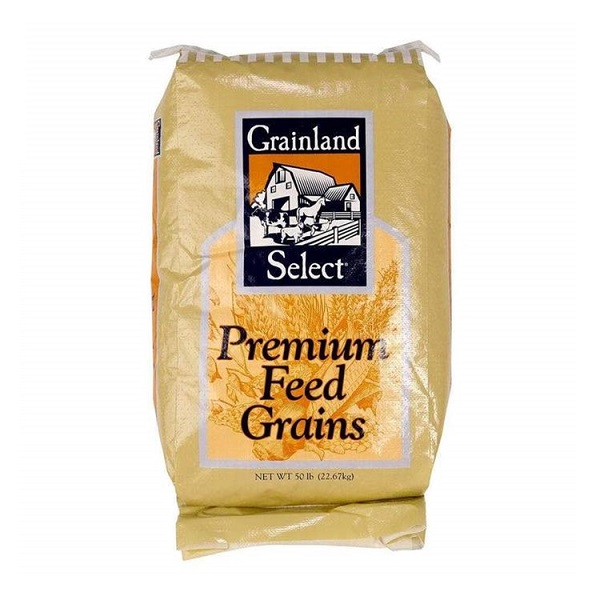 Premium Whole Grain Corn, Feed for Most Livestock