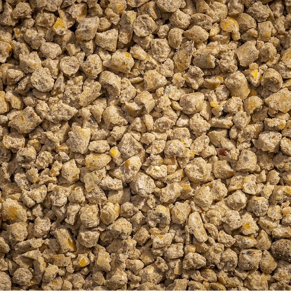 Modesto Milling Organic Turkey & Gamebird Chick Starter Crumbles Poultry Feed - 50lb