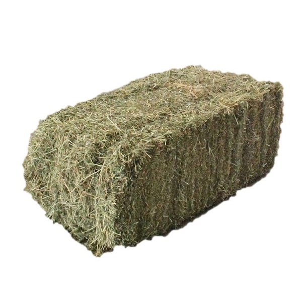 Grass Hay - Bale