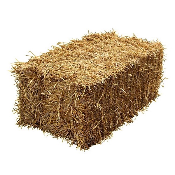 Wheat Straw Hay - Bale