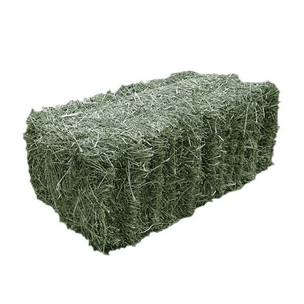 Alfalfa Hay - Bale