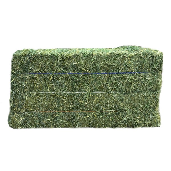 Grass & Alfalfa Hay 50/50 Mix - Bale